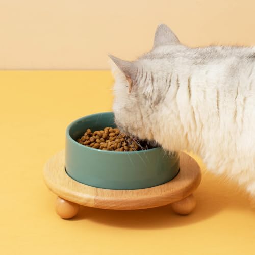 Raised Cat Bowl 6.1” Elevated Ceramic Cat Food and Water Bowl (Dark Green)