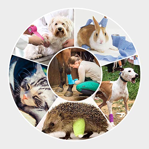 Pet Wrap Self (4 Inch (Pack of 3) / Solid Color B)