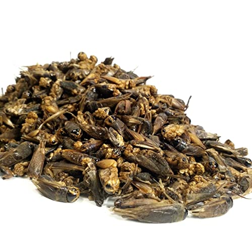 Crickets Freeze Dried Crickets for Tropical Fish (1 Pound (Pack of 1))