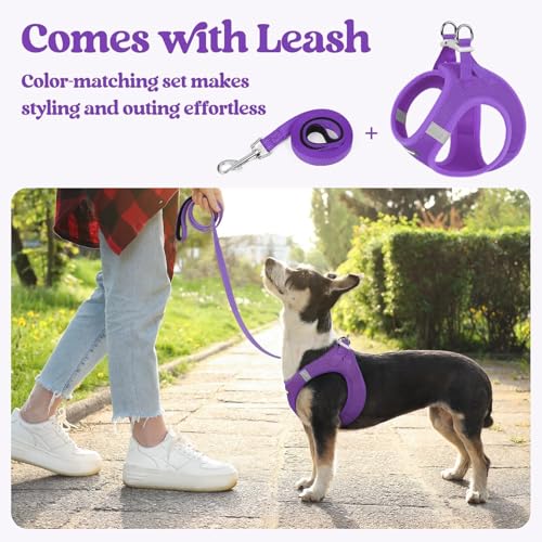 Dog Harness Medium Sized and Leash Set (Purple / Xxl (chest: 21.6 - 23.7"))