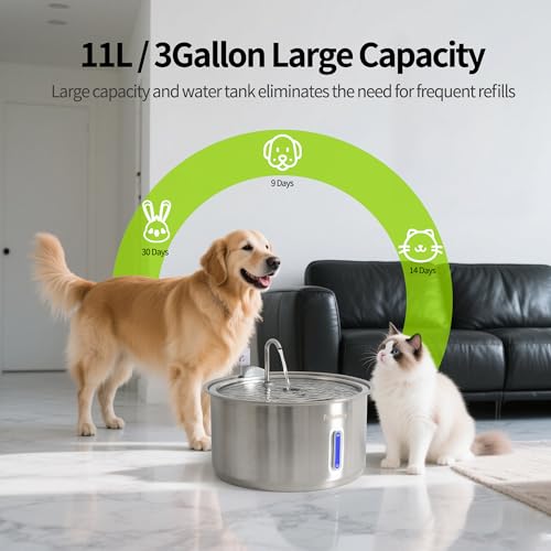 Dog Water Fountain