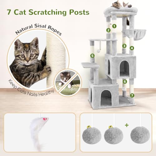Heavy Duty Cat Trees for Big Cats Maine Coon (Cloud Grey / 61inch)