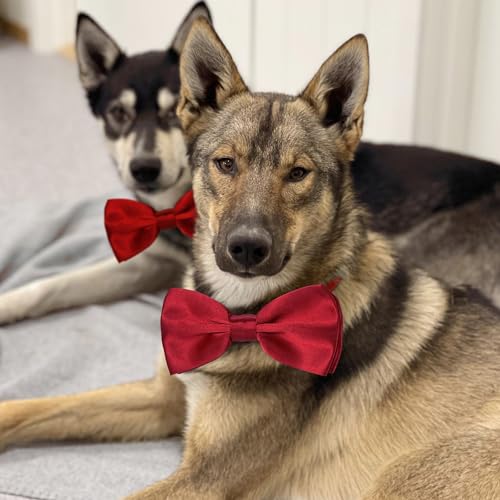 Dog Bow Tie Red Bow Tie with Adjustable Dog Collar for Medium and Large Dogs Cats Pets Wedding Birthday Party Holiday Homecoming Costumes (Wine Red)