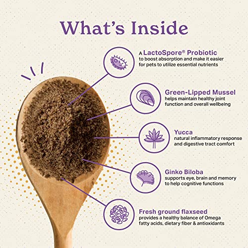 Senior Superfood Supplement Powder (1 Pound (Pack of 2))