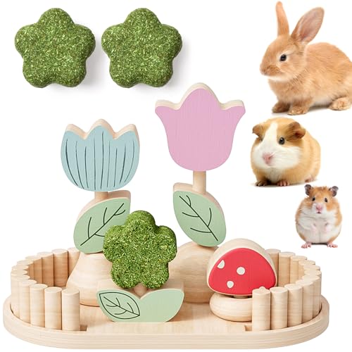 Hamster Chew Toys for Teeth