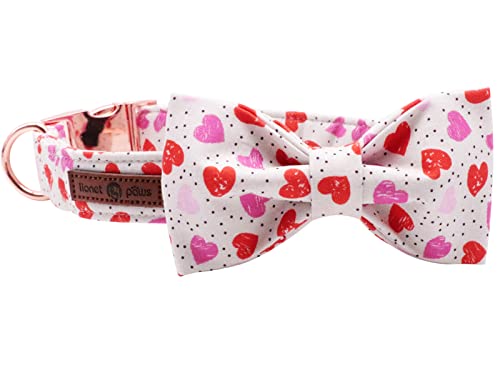 Valentines Day Dog Collar with Bowtie (Hearts / Small (Pack of 1))