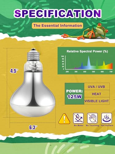 Heat Lamp Bulbs (Pack of 2 / 125 Watt)