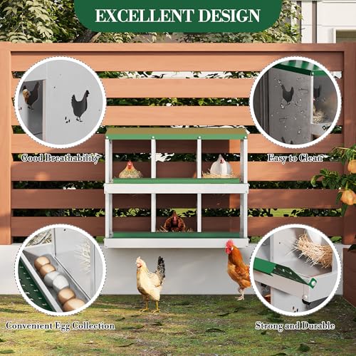 6 Hole Chicken Nesting Box with Roll Out Egg Tray