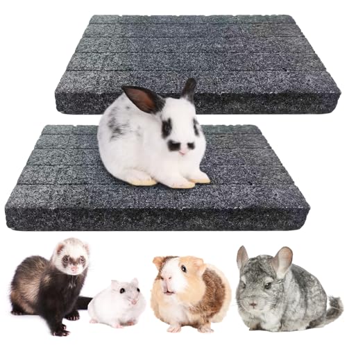 Chinchilla Scratch Foot Pads Natural Hamster Grinding Claw Mats 2Pcs (Black 2x Small)