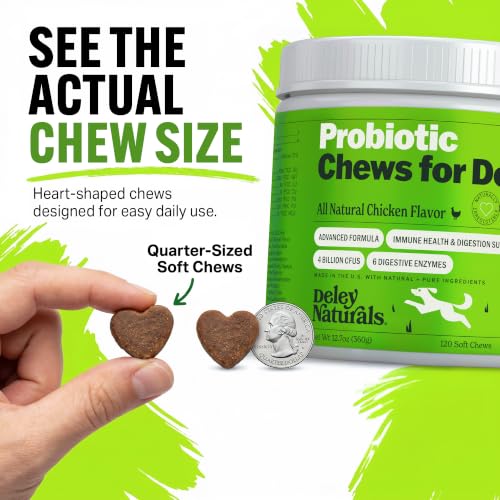 Dog Probiotic Chews (Probiotics - 120 Soft Chews)