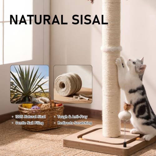 Cat Scratching Post for Indoor Adult Cats and Kittens (33inhces)