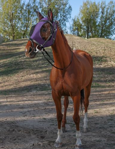 Horse Fly Mask with Ears (Deep Purple / Large)