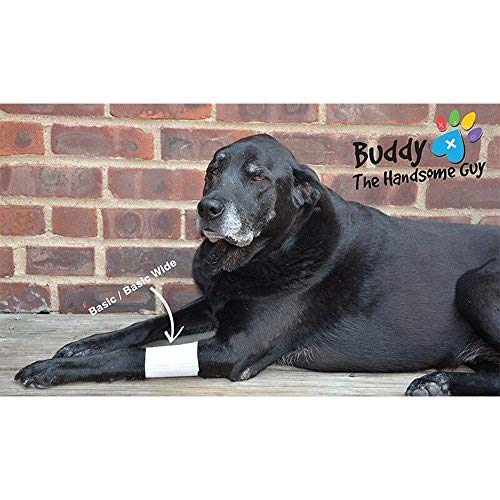 Basic Leg Bandages for Dogs (Small 12-Pack)