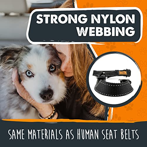 Dog Seat Belt for Car Headrest (Headrest Attachment)