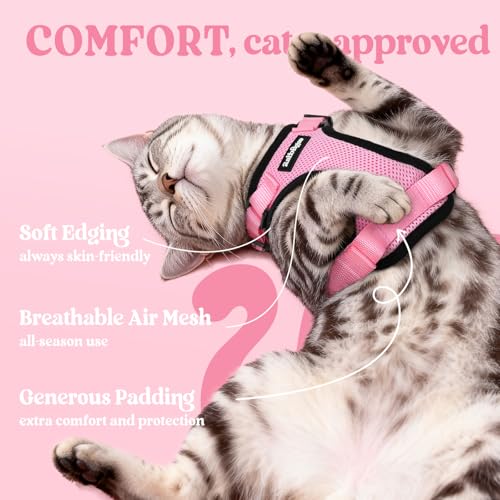 Cat Harness and Leash Set (Xxs / Pink)