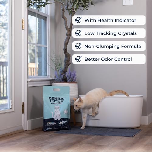 Health Monitoring Cat Litter (3 Bag (18lb))