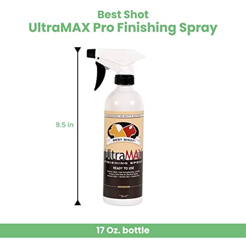 UltraMAX Pro Finishing Spray (Sweet Pea / 17 fl oz)