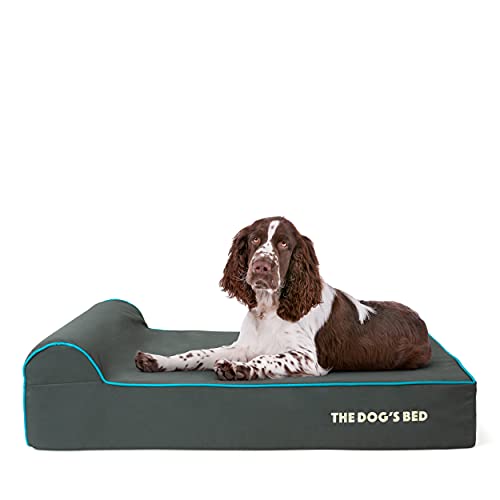 The Dog’s Bed Orthopedic Memory Foam Dog Bed with Headrest Large 6 (Grey with Blue Trim / L (40"L x 25"W x 6"Th))