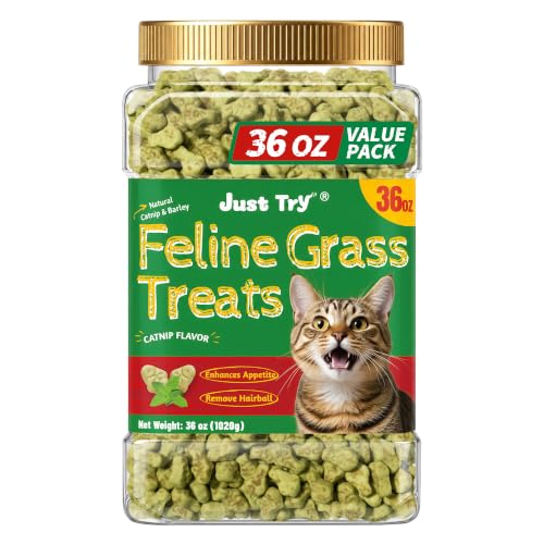 36 OZ Cat Grass Treats for Indoor Cats Hairball Control (2.25 Pound (Pack of 1))