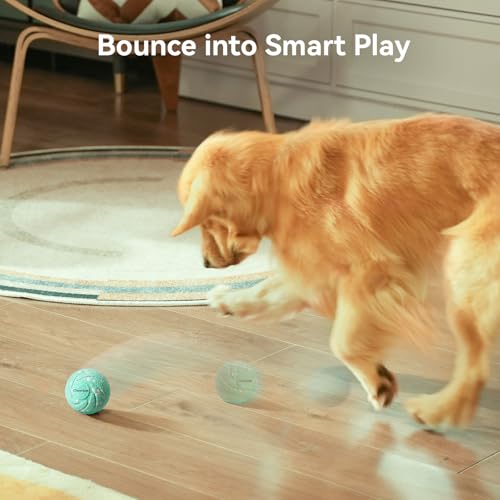 Smart Interactive Dog Toy (Aqua)