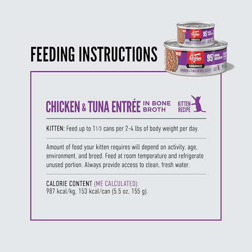Chunks & Shreds Wet Cat Food Kitten Entrée 5.5oz Cans (5.5 Ounce (Pack of 6))