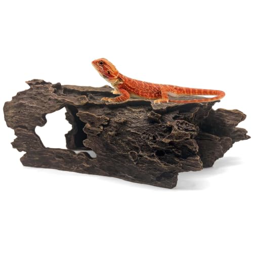 Bearded Dragon Hide