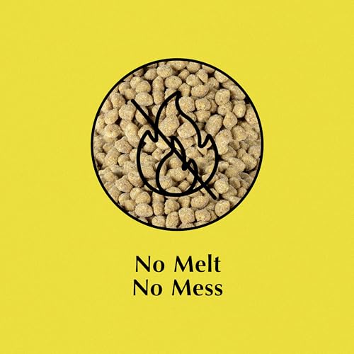 Sunflower Flavor Suet Nuggets (8 Pound (Pack of 1))