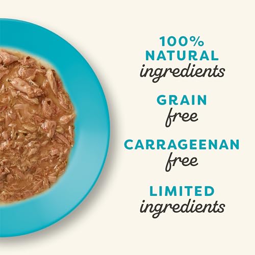 Tuna Fillet in Gravy Wet Cat Food 12