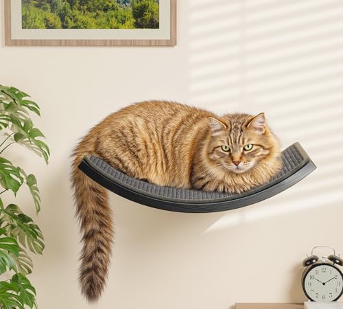 Gray Cat Wall Shelf with Grey Sisal Mat