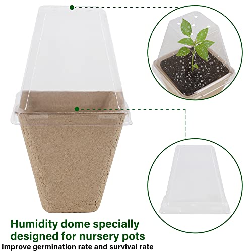 Seed Starter Peat Pots (Square)