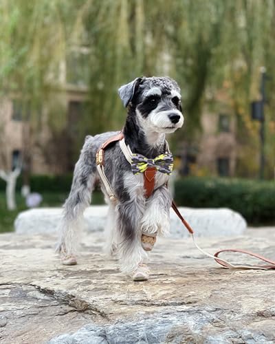 10 Pack Camo Dog Bowties for Small Dogs Sliding on Collar (S/M)
