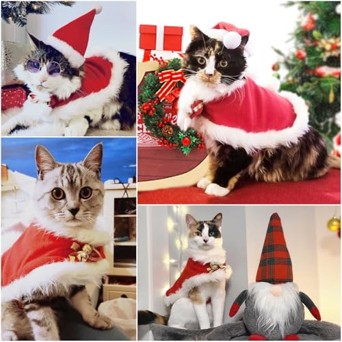 Cat Christmas Costume (Christmas Costume)