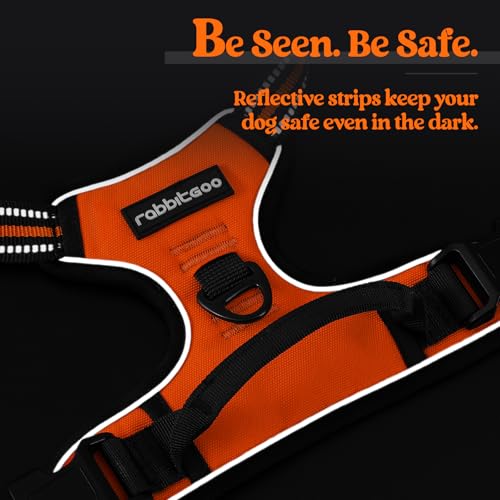 Dog Harness No Pull for Small Dogs with 2 Leash Clips (Small / Orange)