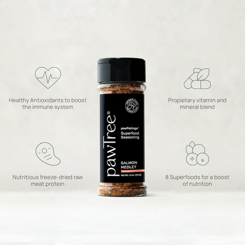 Unleash Your Inner Chef