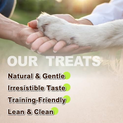 Turkey Dog Treats (1 Pound (Pack of 1))