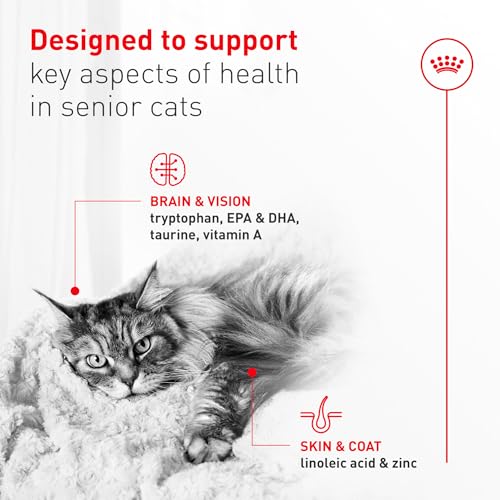 Feline Health Nutrition Aging 11+ Wet Cat Food for Seniors (3 Ounce (Pack of 12) / Aging 11+)
