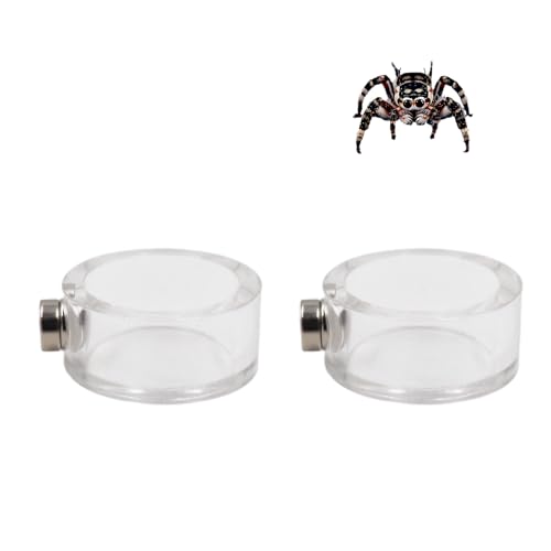 2 Pack Jumping Spider Enclosure Accessories