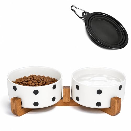 Ceramic Dog Bowl Set with Stand (Black Dot / 400ML*2)