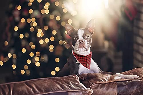 Christmas Dog Bandana (Black&Red / Small (Pack of 1))