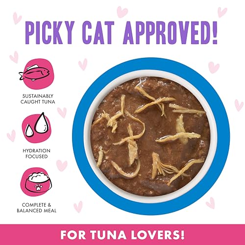 B.F.F. OMG Best Feline Friend Oh My Gravy! (5.5 Ounce (Pack of 8))