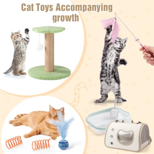 10 Pcs Kitten Starter Kit for Indoor (Cute / Small / Multicolor)