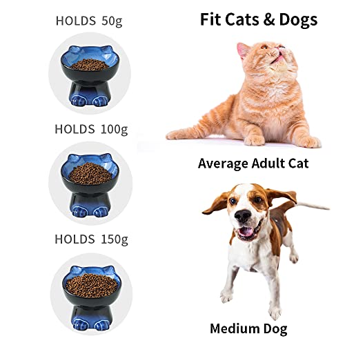 Elevated Cat Bowls (6.8 OZ / Blue & Black)