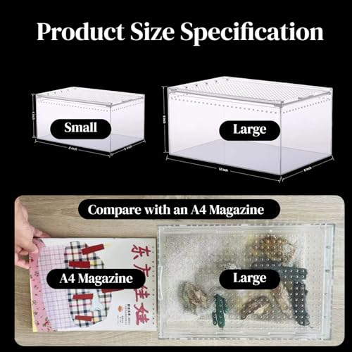 Small Tarantula Enclosure 8×6×4" (A-S(8x6x4in))
