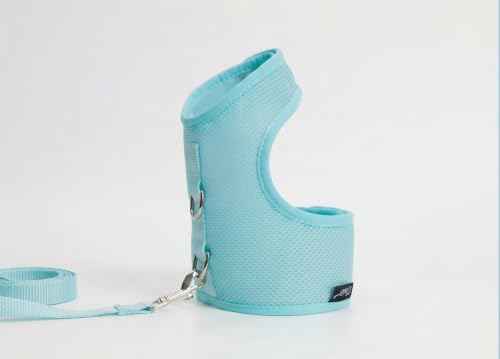Cat Harness and Leash Set for Walking Escape Proof (Turquoise / M 5.5-9 lbs)