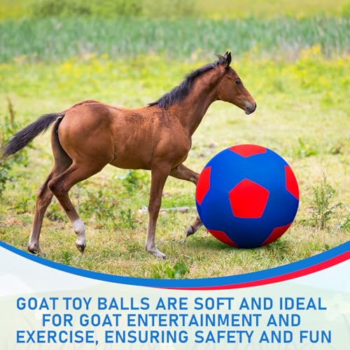 Giant 30 Inch Herding Balls with Ball Cover (Blue / 30 Inch / Stylish)