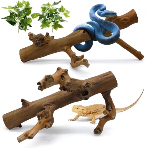 2PCS Snake Climbing Branch (Polished Reptile Climbing Wood)