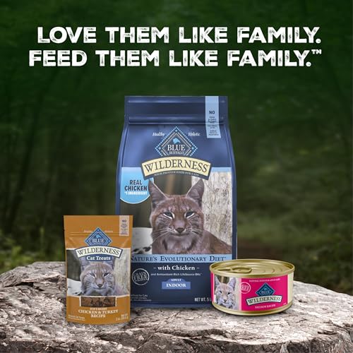 Wilderness Salmon Paté Adult Wet Cat Food