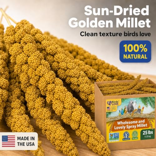 25 LB Wholesome Spray Millet for Birds (25 Pound (Pack of 1))