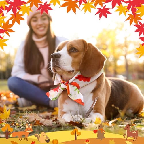 30 Pcs Fall Dog Bandanas Bulk for Autumn Thanksgiving Medium Large (Fall Style)