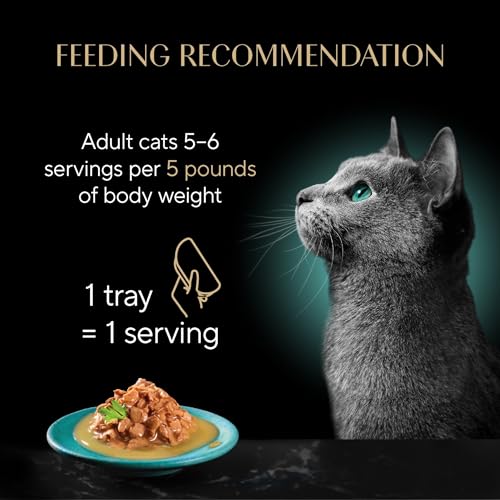 Gravy Indulgence Wet Cat Food (24 Count (Pack of 1))